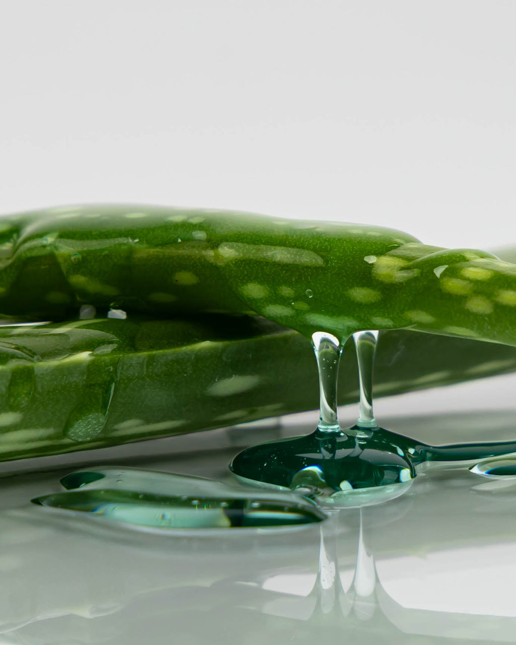 Aloe Vera Blätter mit Shampoo übergossen