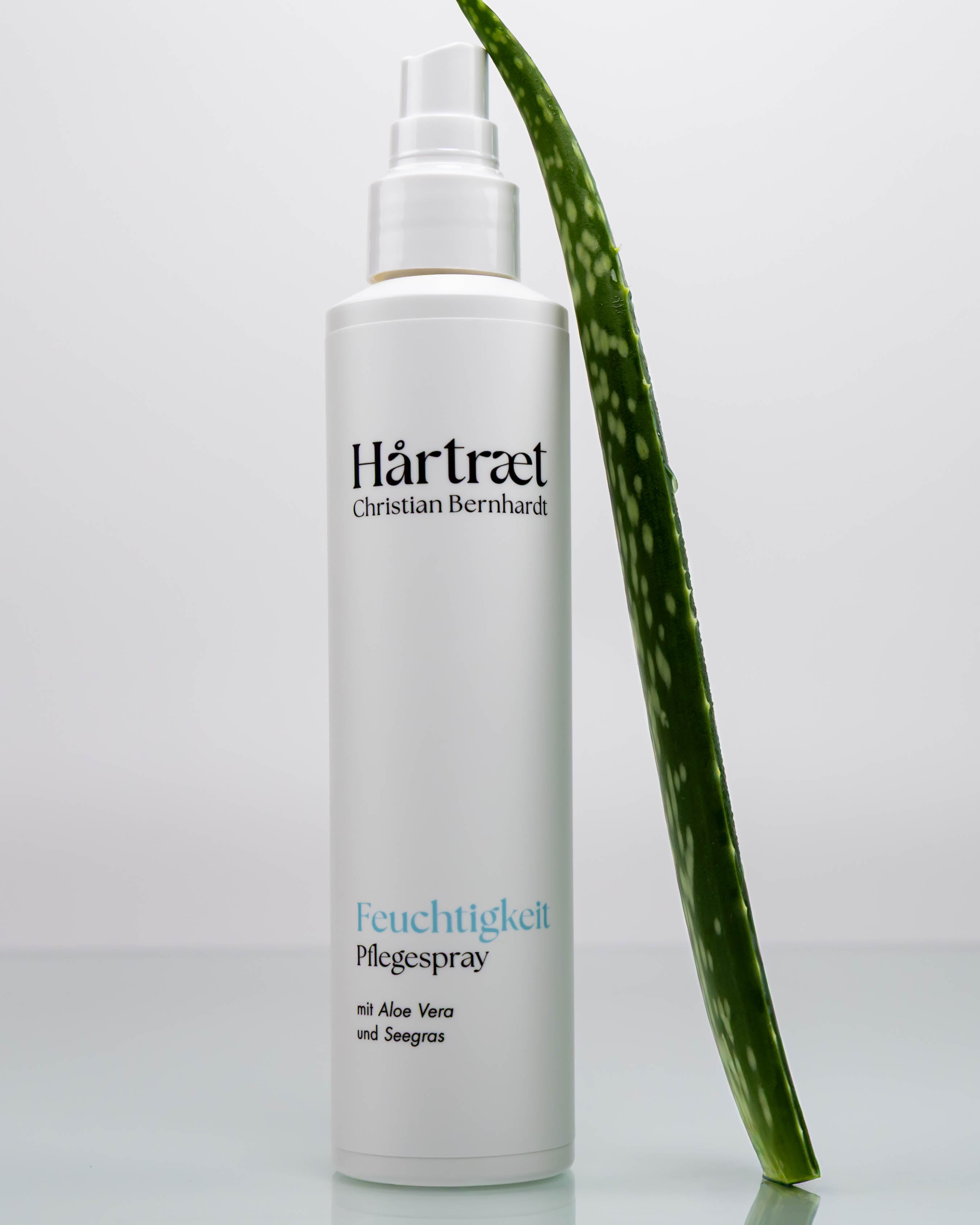 Flasche Feuchtigkeitsspray an der ein Blatt Aloe Vera lehnt